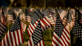 Timeline: Young America