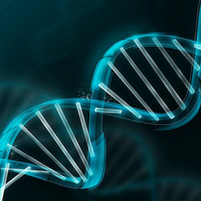 Timeline: История развития генетики