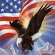 American eagle and flag ii