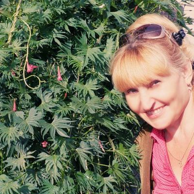 Timeline: Моя история