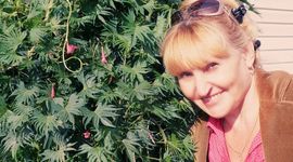 Timeline: Моя история