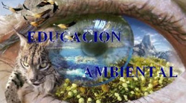 Timeline: LÍNEA DE TIEMPO DE LA EVOLUCIÓN HISTÓRICA DE LA EDUCACIÓN AMBIENTAL