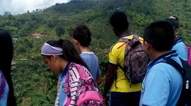 Timeline: La carrera contra el analfabetismo ambiental