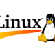 Linux hosting transparent