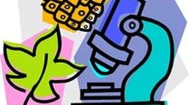 Timeline: Известные биологи