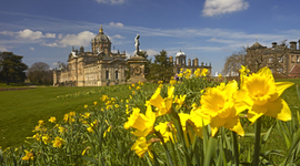 Timeline: Alla scoperta della storia Britannica!