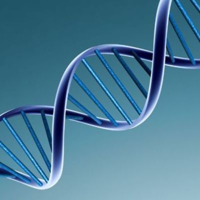Timeline: Descubrimientos del DNA