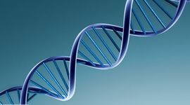 Timeline: Descubrimientos del DNA