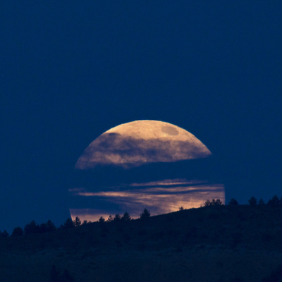 Timeline: autores callejeros