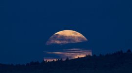 Timeline: autores callejeros