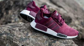 Timeline: Tracy Gutierrez L.