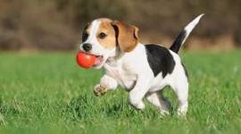 Timeline: Elizbeth Matos