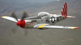 Timeline: Kali Livingston's WWII Timeline