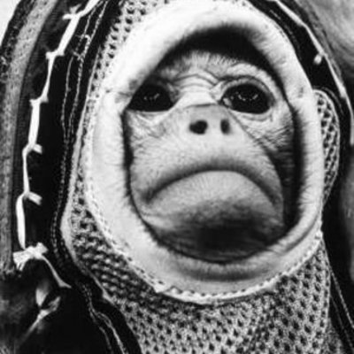 Timeline: Звірі у космосі