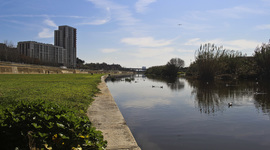 Timeline: L'abocador esdevingut Parc Natural