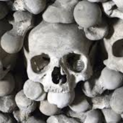 Timeline: The Spread Of The Black Death