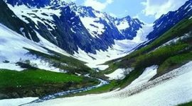 Timeline: Кавказский заповедник