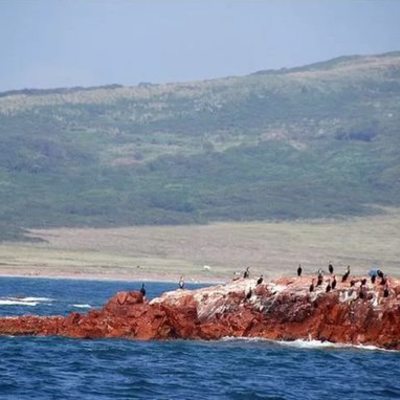 Timeline: Дальневосточного морского заповедника