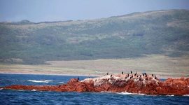 Timeline: Дальневосточного морского заповедника