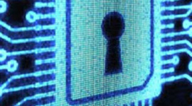 Timeline: Protección Y Seguridad