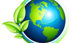 Timeline: Historia de la Ecología