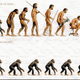 Evolucion1