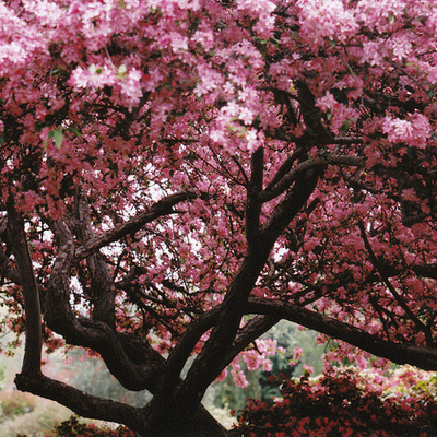 Timeline: Comercio en México