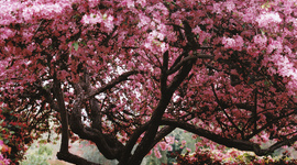 Timeline: Comercio en México