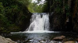 Timeline: Алтайский заповедник