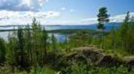 Timeline: Памятные события в Кандалакшском заповеднике