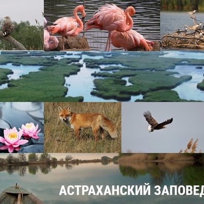 Timeline: Астраханский заповедник