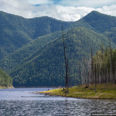 Timeline: История Зейского заповедника