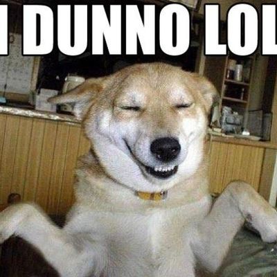 Timeline: My First Useless Tineline