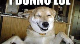 Timeline: My First Useless Tineline