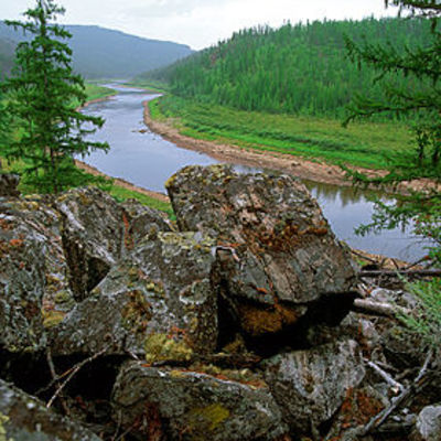 Timeline: Олекминский заповедник