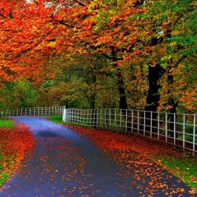 Timeline: In Search of Beauty