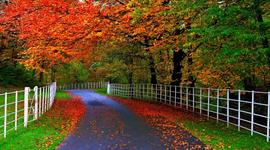 Timeline: In Search of Beauty