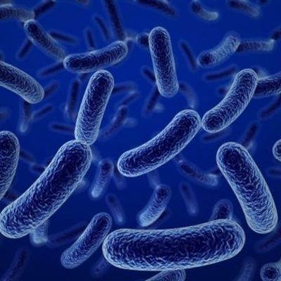 Timeline: microscope