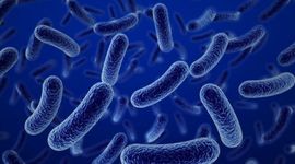 Timeline: microscope