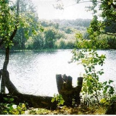 Timeline: заповедник верхне-тазовский