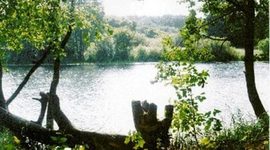 Timeline: заповедник верхне-тазовский