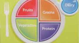 Timeline: School Nutrition Program