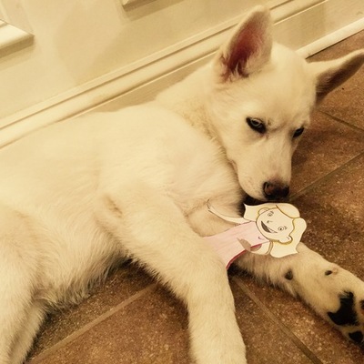 Timeline: Valentine et Sa Aventure