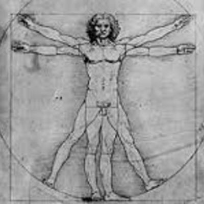 Timeline: Antropología, historia del hombre.