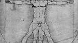 Timeline: Antropología, historia del hombre.