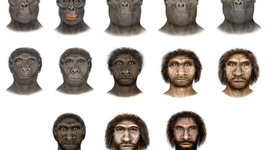 Timeline: Evolution of Hominids: Genus Homo
