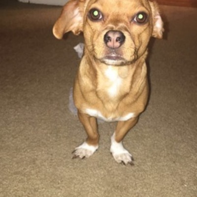 Timeline: birthday timeline