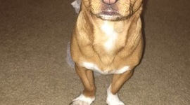 Timeline: birthday timeline