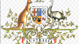 Timeline: Erik's timeline