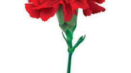 Timeline: Tercera República Portuguesa